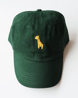 Green Giraffe Hat